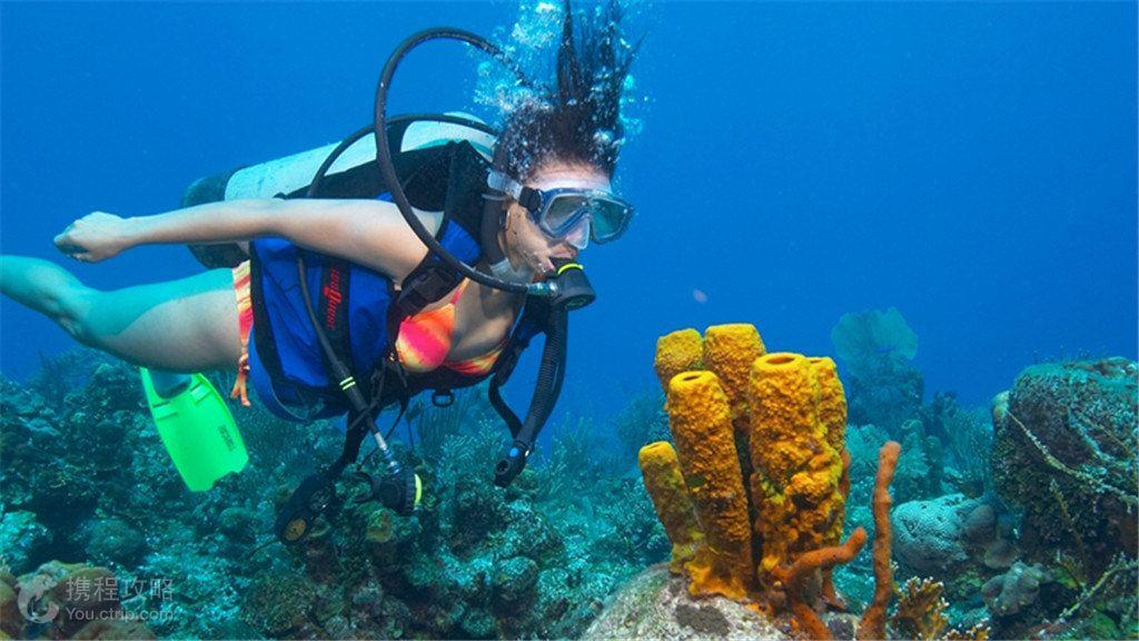 海滩别墅逃生