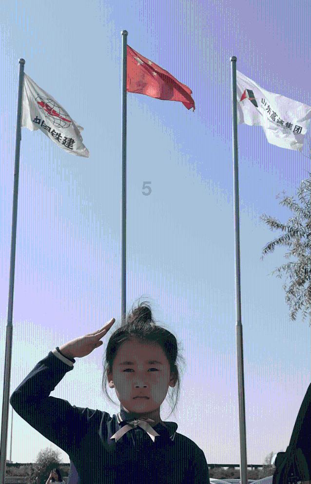 营救小乌龟